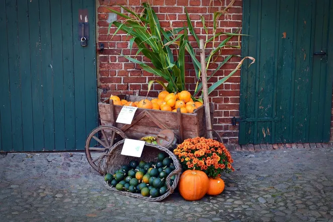Pumpkin Soup