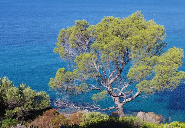 Azur
