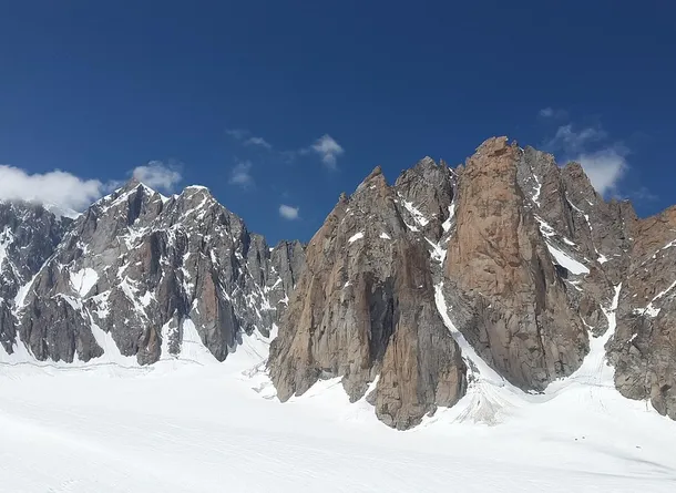 Cassiopea